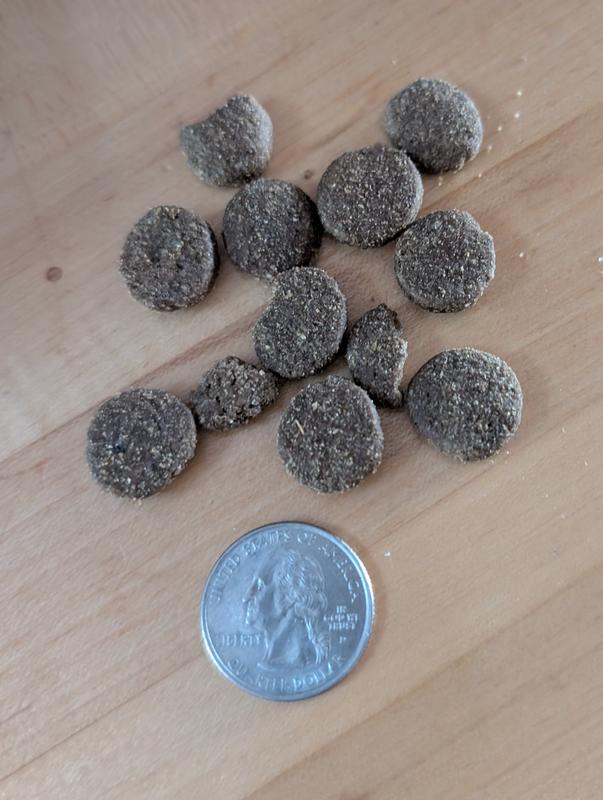 Size comparison vs US quarter coin