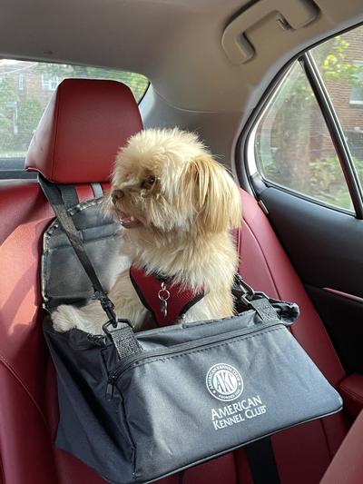 American kennel club dog car seat sale