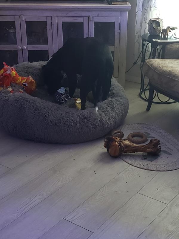 FURHAVEN Plush Ball Pillow Dog Bed with Removable Cover, Espresso, X