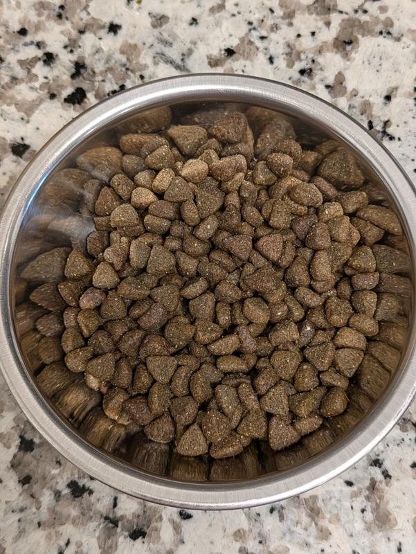 The kibble is dark and thankfully not very strong smelling