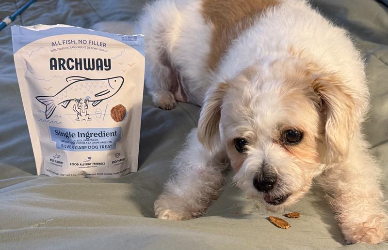 He eats them faster than I can get to the camera!  Definitely a big hit.