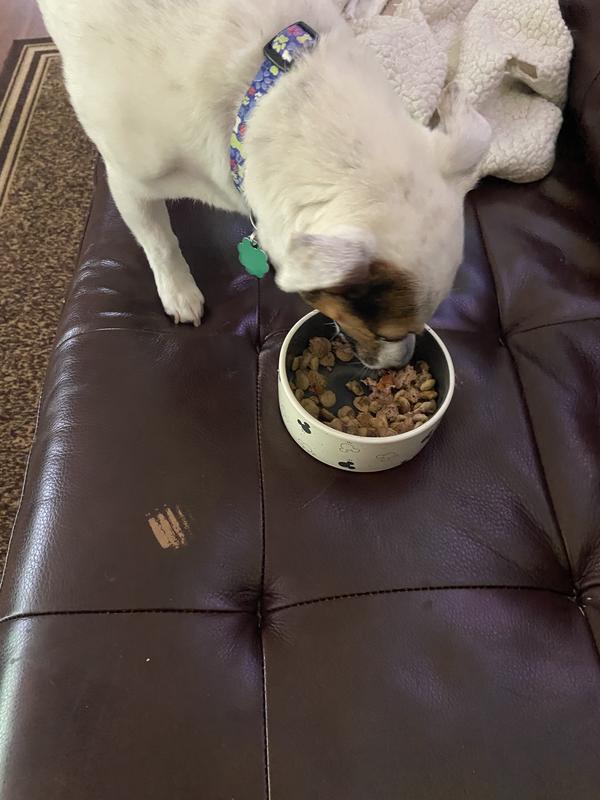 Quality of Product and looks like homemade