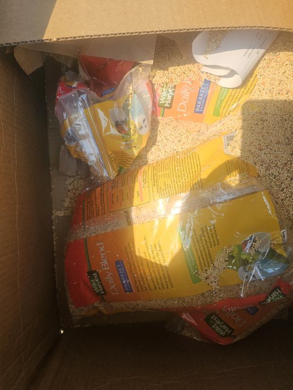 3 of 4 bags were busted!