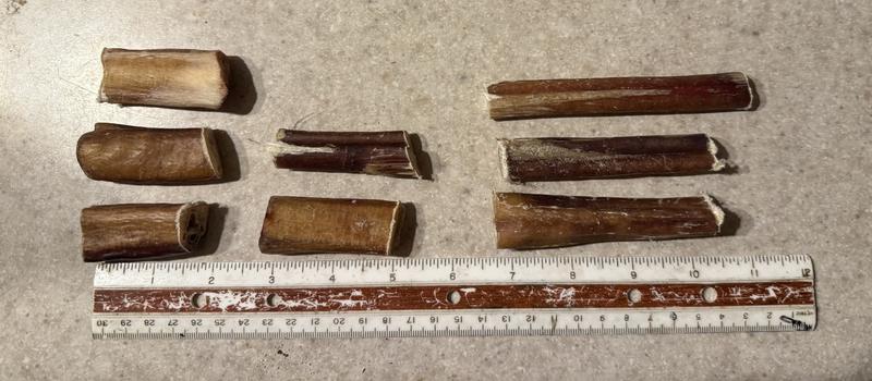 Sizes are not in the description. Chew in no way means “small” me. Can’t buy these again.