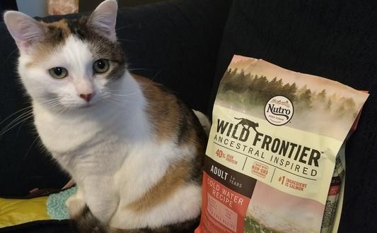 Wild frontier shop cat food reviews