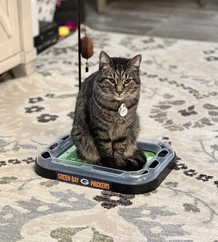 PETS FIRST NFL Football Field Cat Scratcher Toy with Catnip