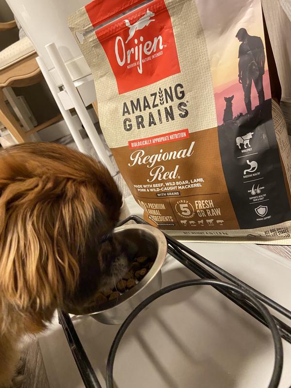 purina dog food beef Purina One Dog Food Bag Beef & Brown Rice