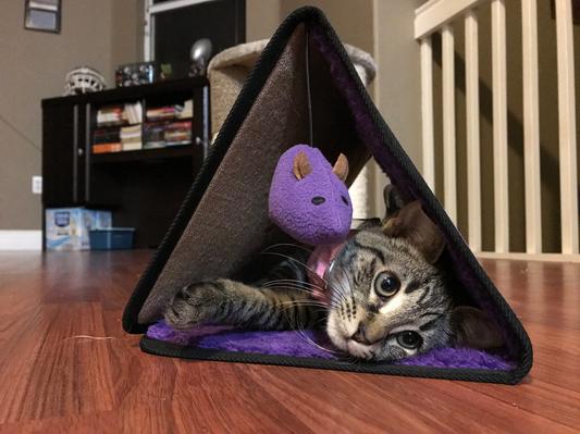 KONG Triangle Play Mat Cat Toy