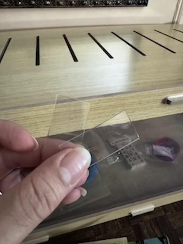 these 2 plastic pieces !