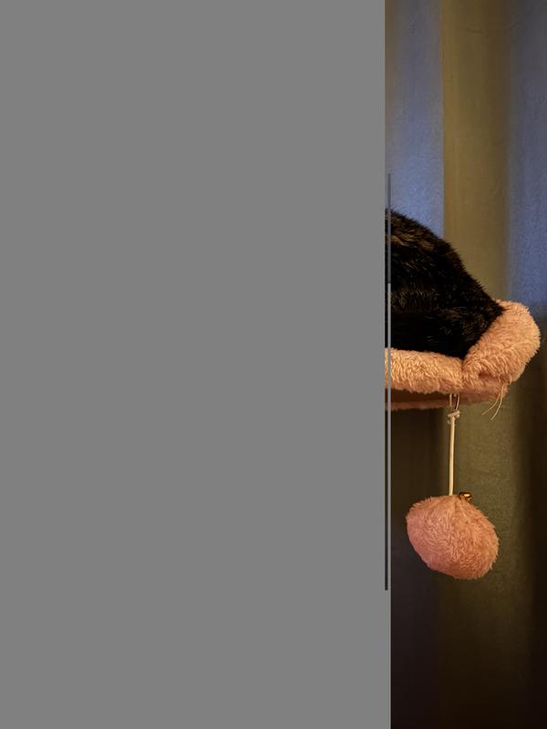 Willow (pictured) is about 12 pounds and she loves it!