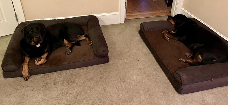 Got one, had to get another...