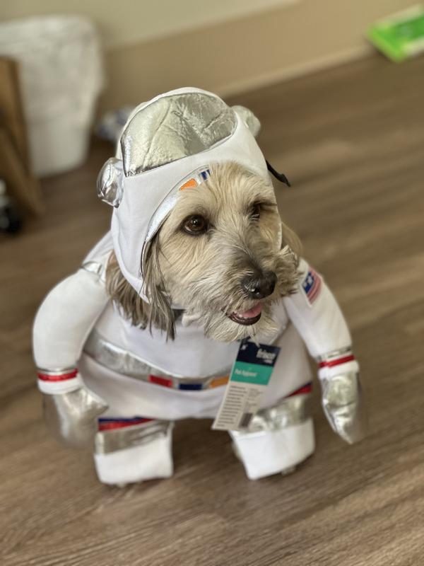 Benny, the astronaut co-pilot