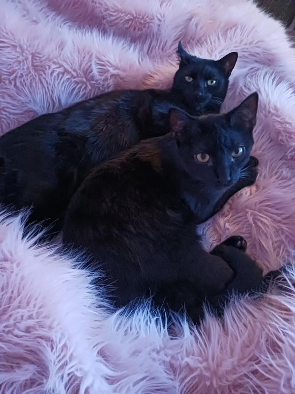 Don't you have enough pictures yet?