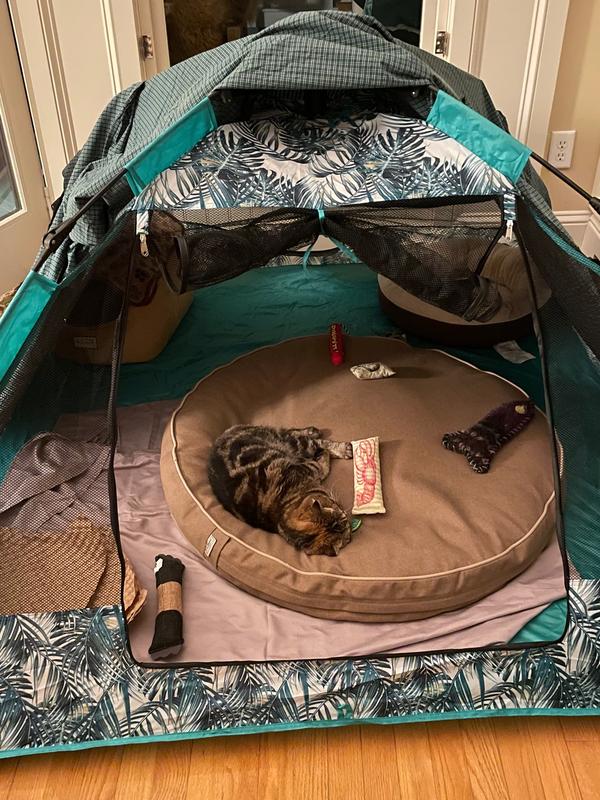Red in her tent