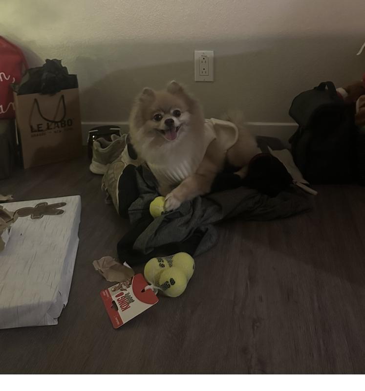 Mila with her favorite Christmas present.