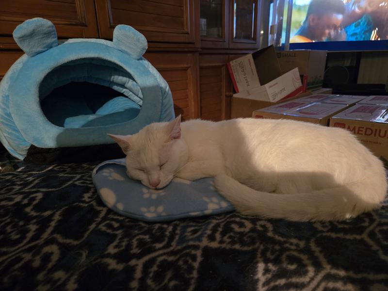 This makes a great snuggly for nap time, too!