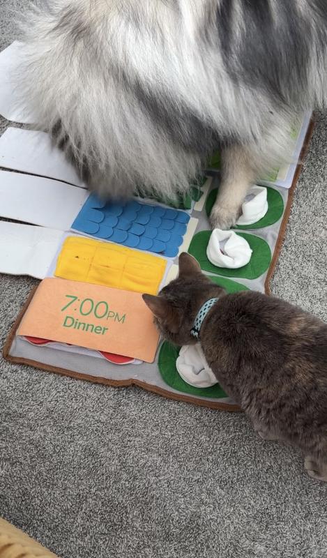 Even the kitty wanted in on the fun