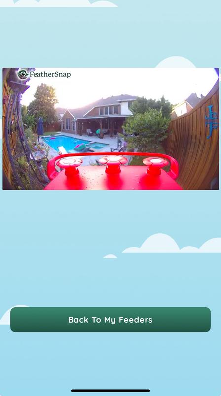 View from the camera