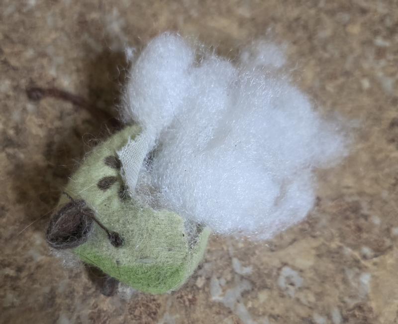 No catnip whatsoever