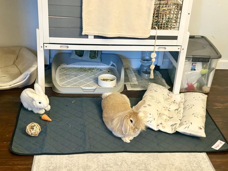 Jack-Jack just relaxing