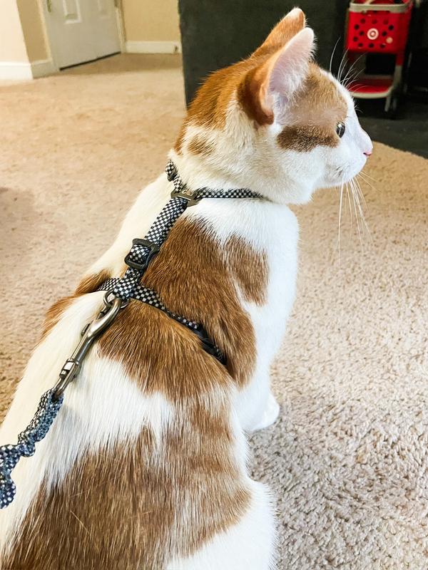 Travel Cat The Day Tripper H-Style Adjustable Cat Harness & Leash Set
