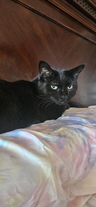 We are all breathing much easier.