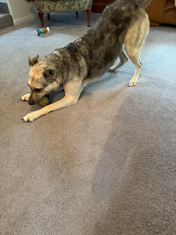 Fluffy and soft now!