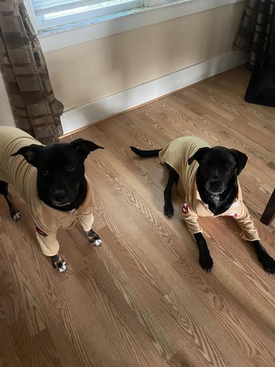 Prior to the backpacks!