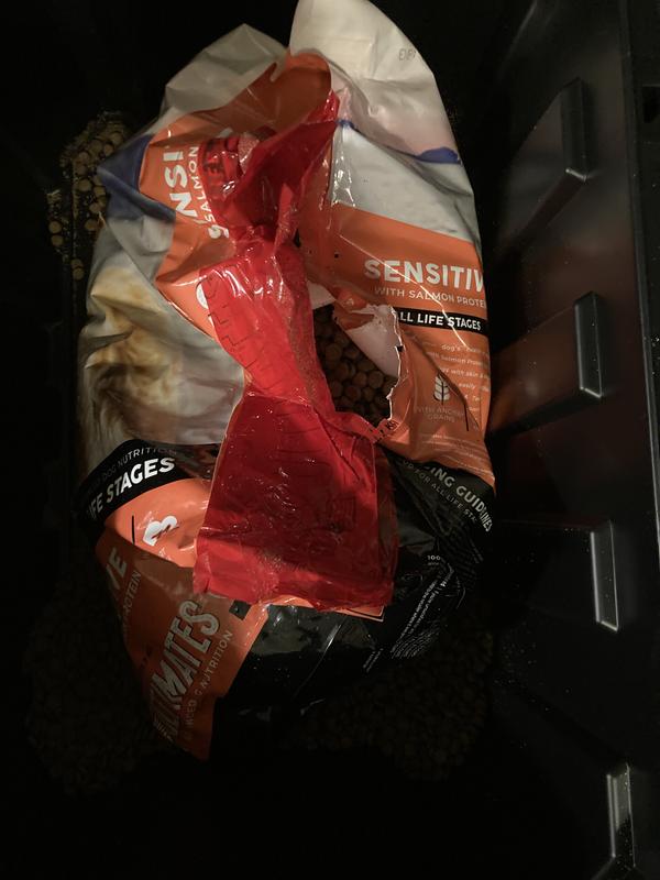 Is this safe to feed my dog?