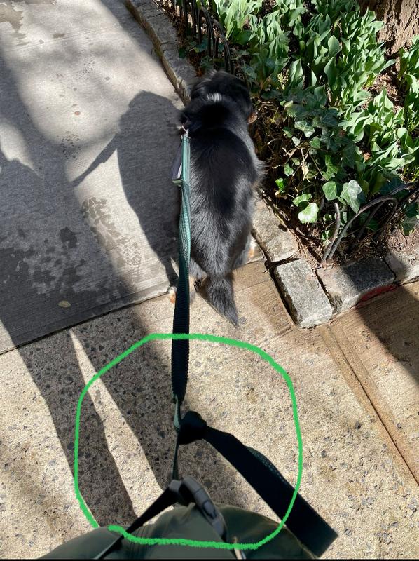 A knot that makes the leash useable