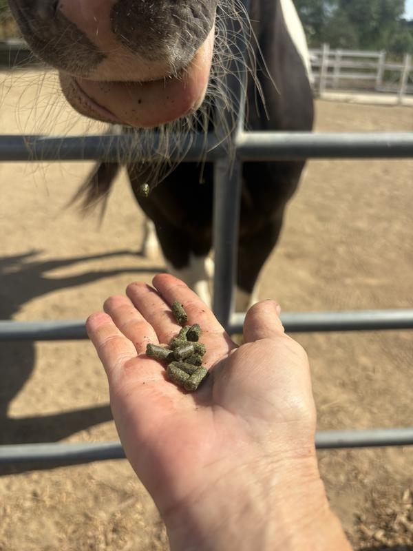 Horse feed