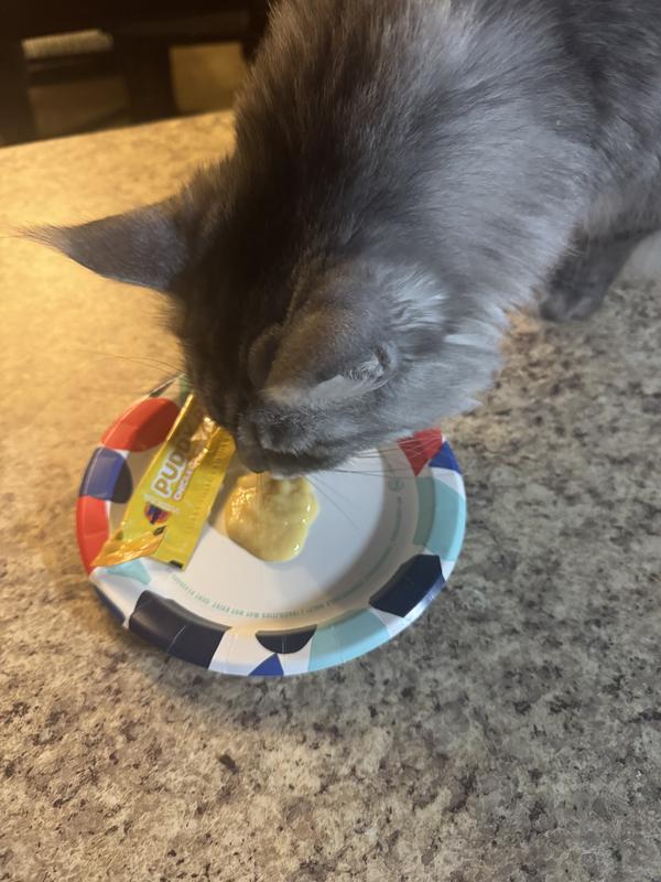 I put it on a plate instead of holding it for the cats because it seemed easier.