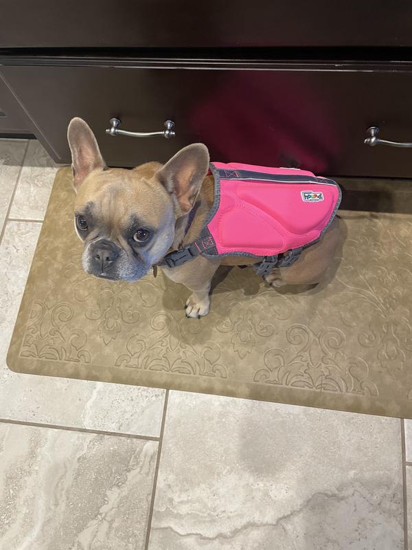 OUTWARD HOUND Dawson Swim Dog Life Jacket, Pink, X-Small