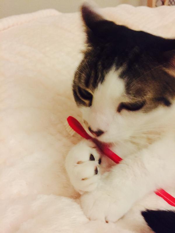 I’ll brush myself if I had a thumb