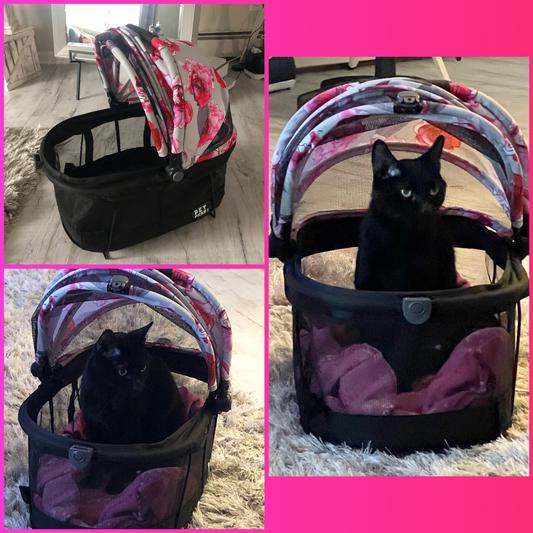 PET GEAR VIEW 360 Dog & Cat Carrier Bag, Black