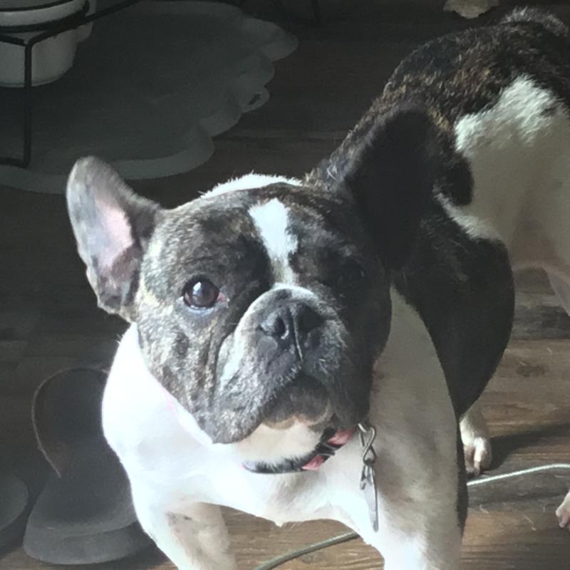 Vast improvement while using the ointment