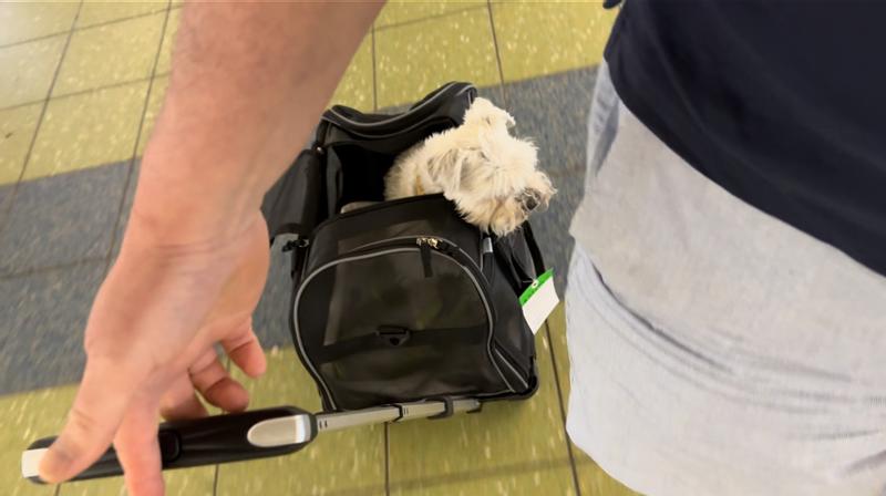 She loved riding in it.