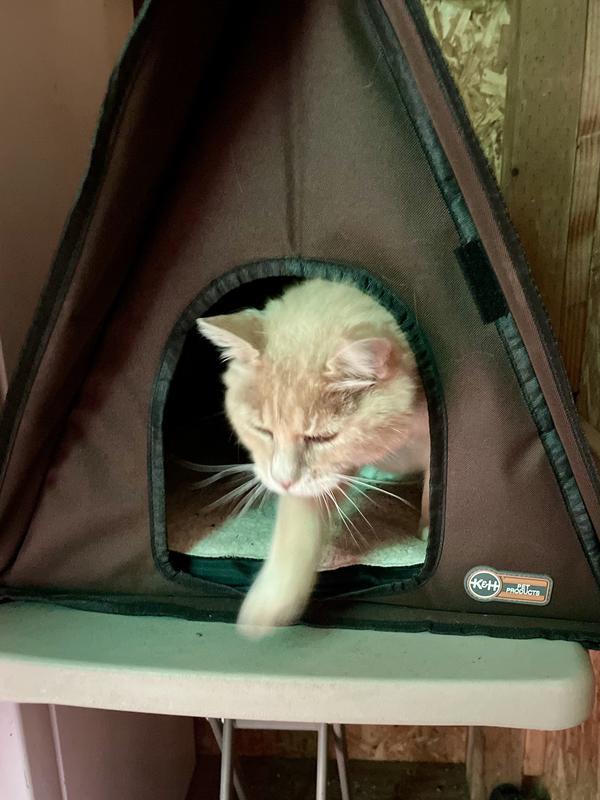 K&H PET PRODUCTS Outdoor Heated MultiKitty AFrame House