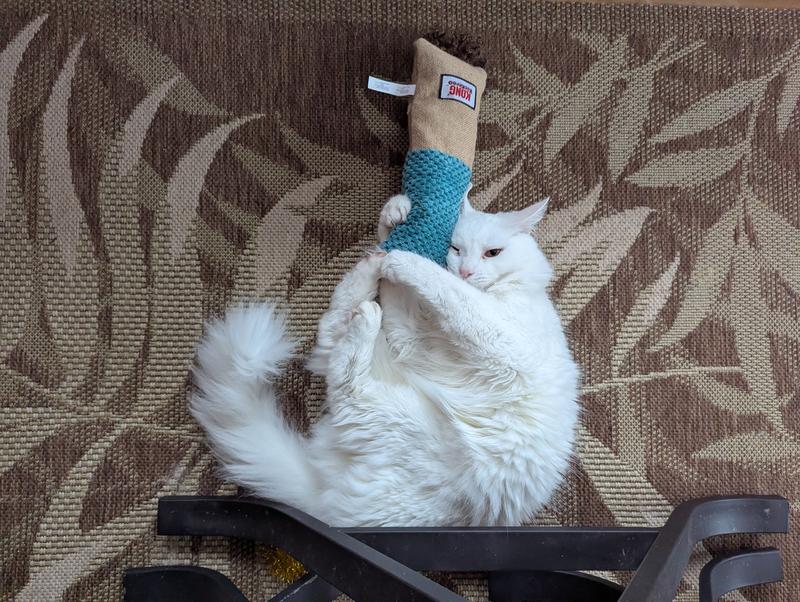 Camino loves his kick stick