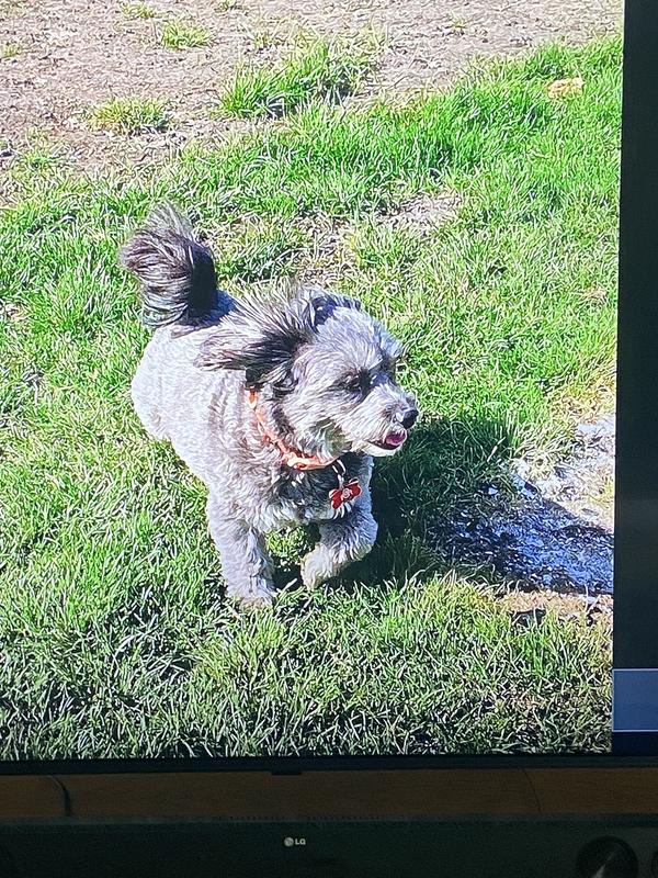 Betcha can’t catch me!