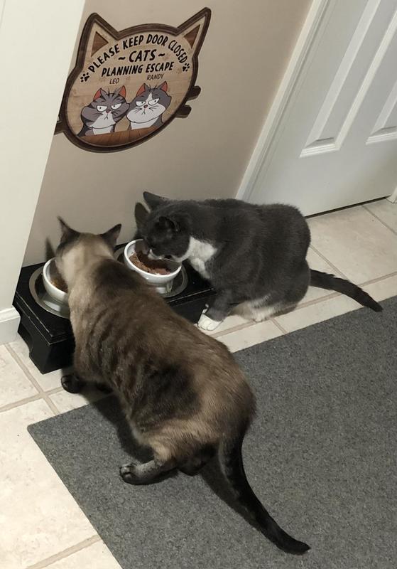 Friends eating Wellness