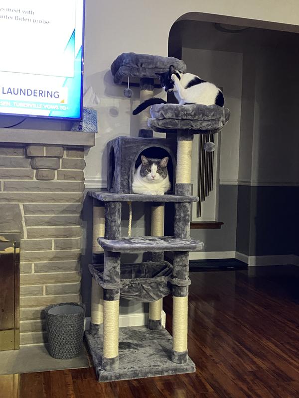 Boston Cat Tree – Kitty Mansions