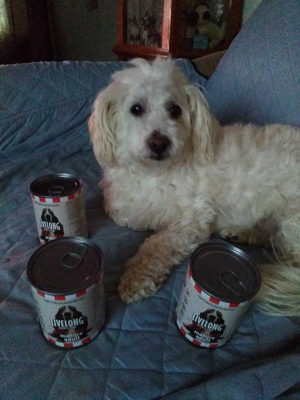 Lucas & his Livelong dog food.