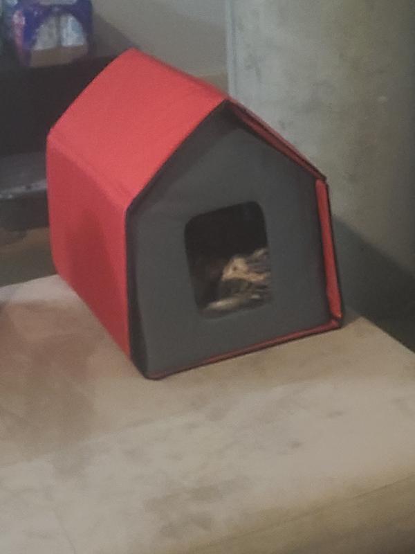 Easy to build and warm in the winter.