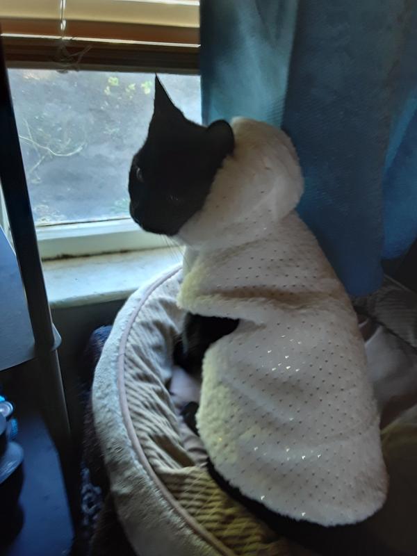 PRANA PETS Sinus Support Medicine for Respiratory & Sinus Infections for Cats & Dogs, 2oz