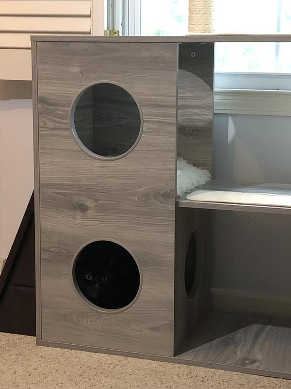 Cubbies are big enough for larger cats