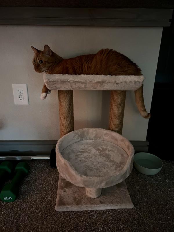 Trixie isaba 2024 cat tree