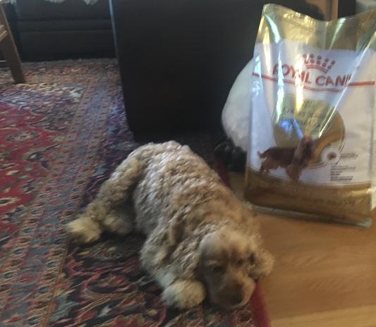Mavis thinks she got the biggest bag of treats.