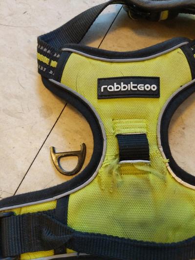 Rabbitgoo dog harness reviews best sale