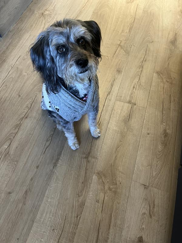 Cowl neck is VERY well made